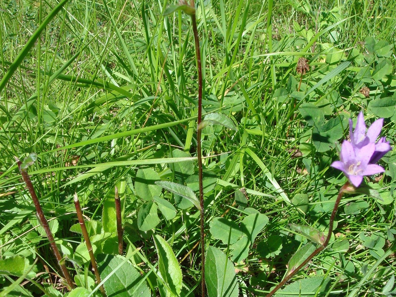 DSC09438