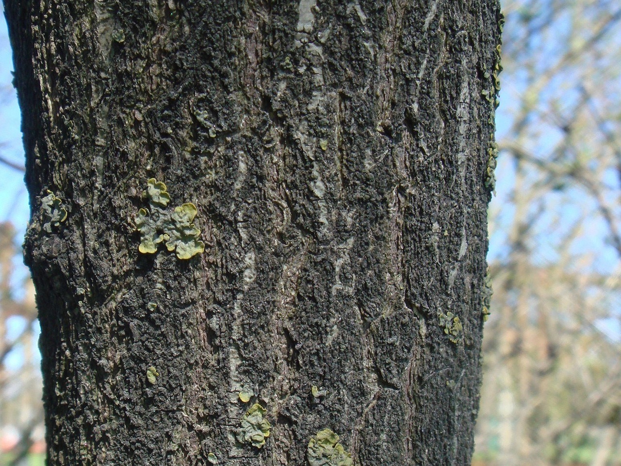 DSC00184
