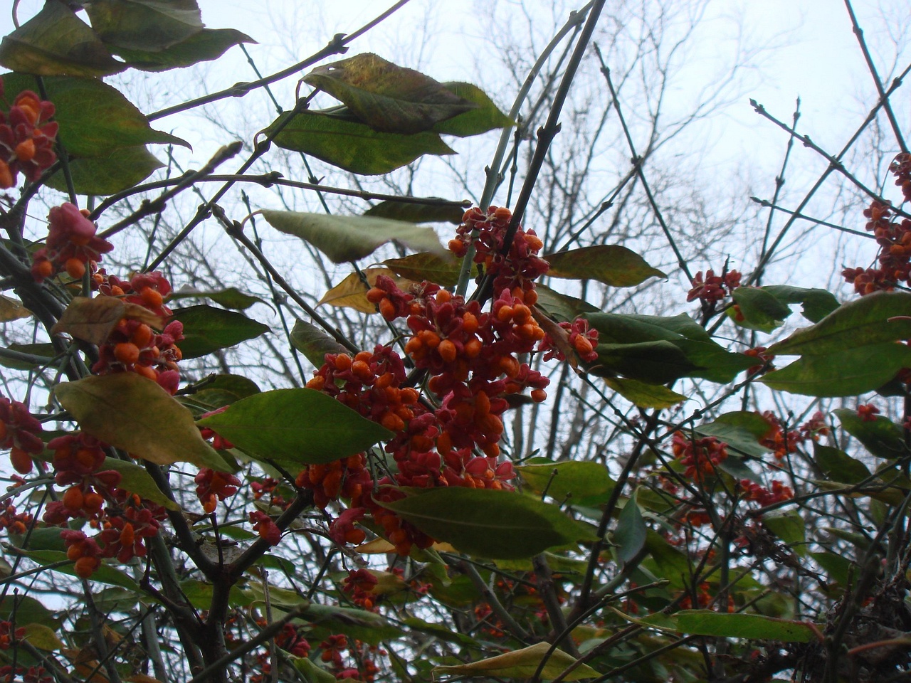 DSC04046