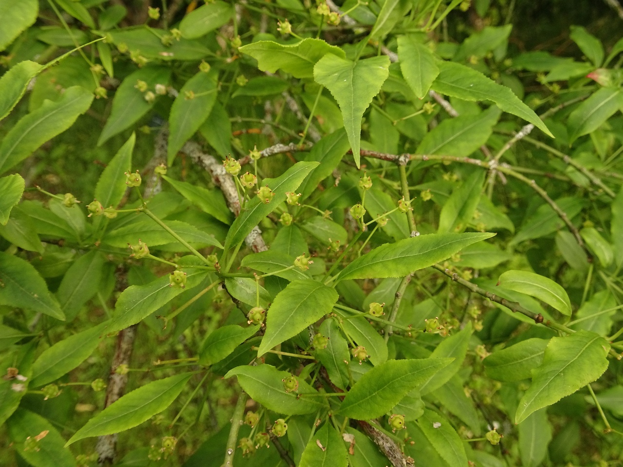 DSC09580