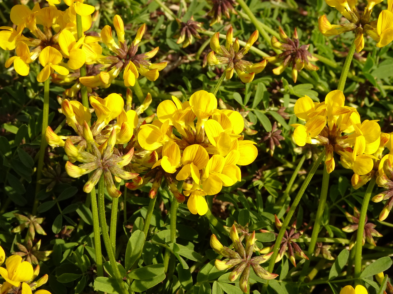0DSC03294