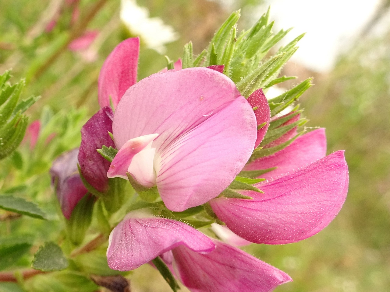 0DSC03565_