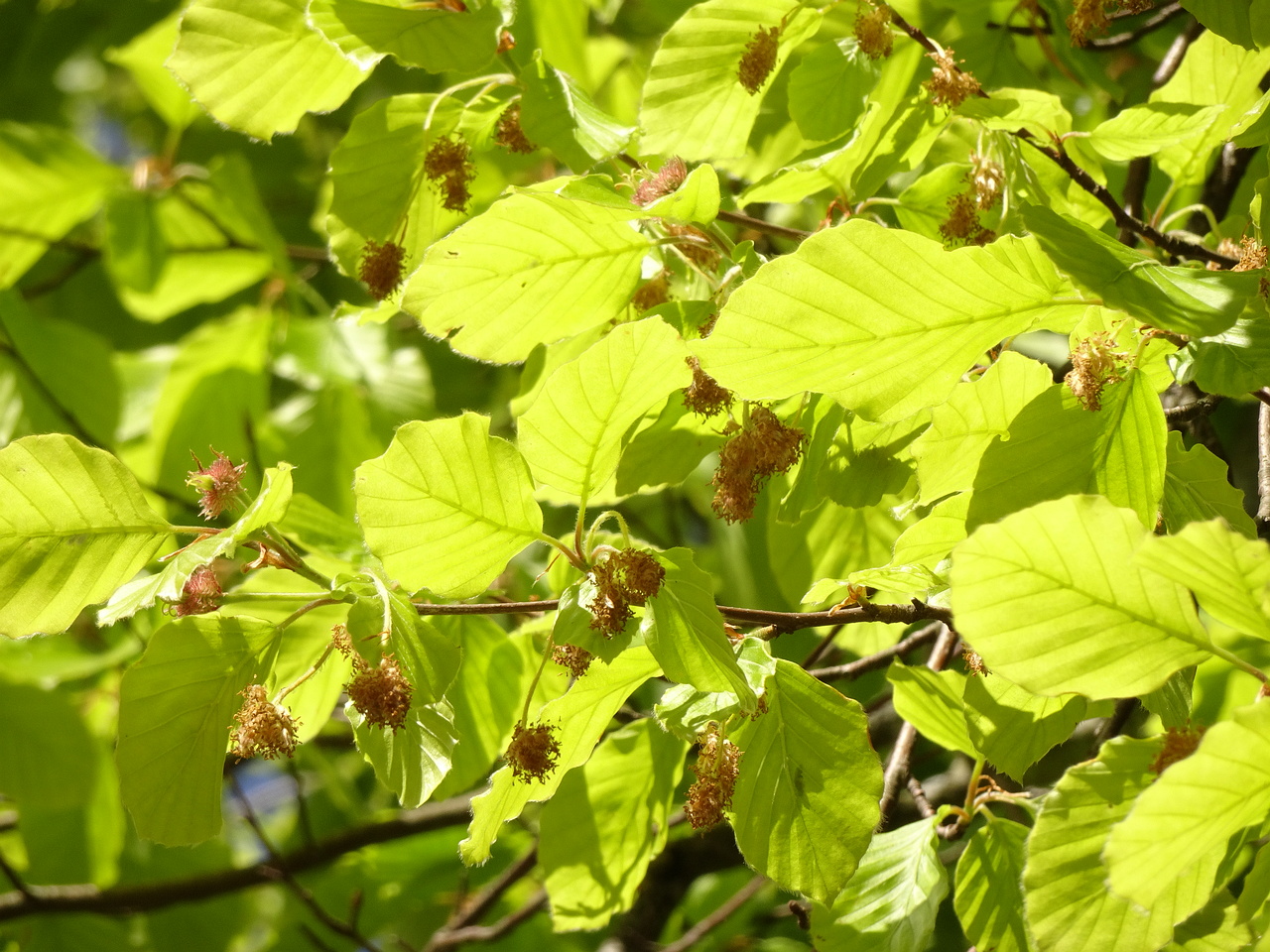 DSC02890