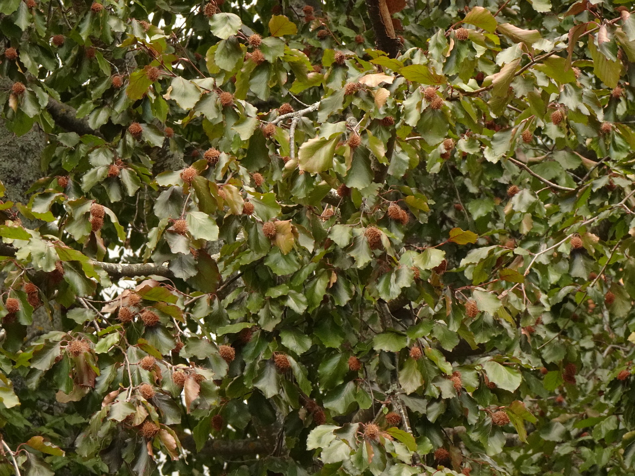 DSC05624