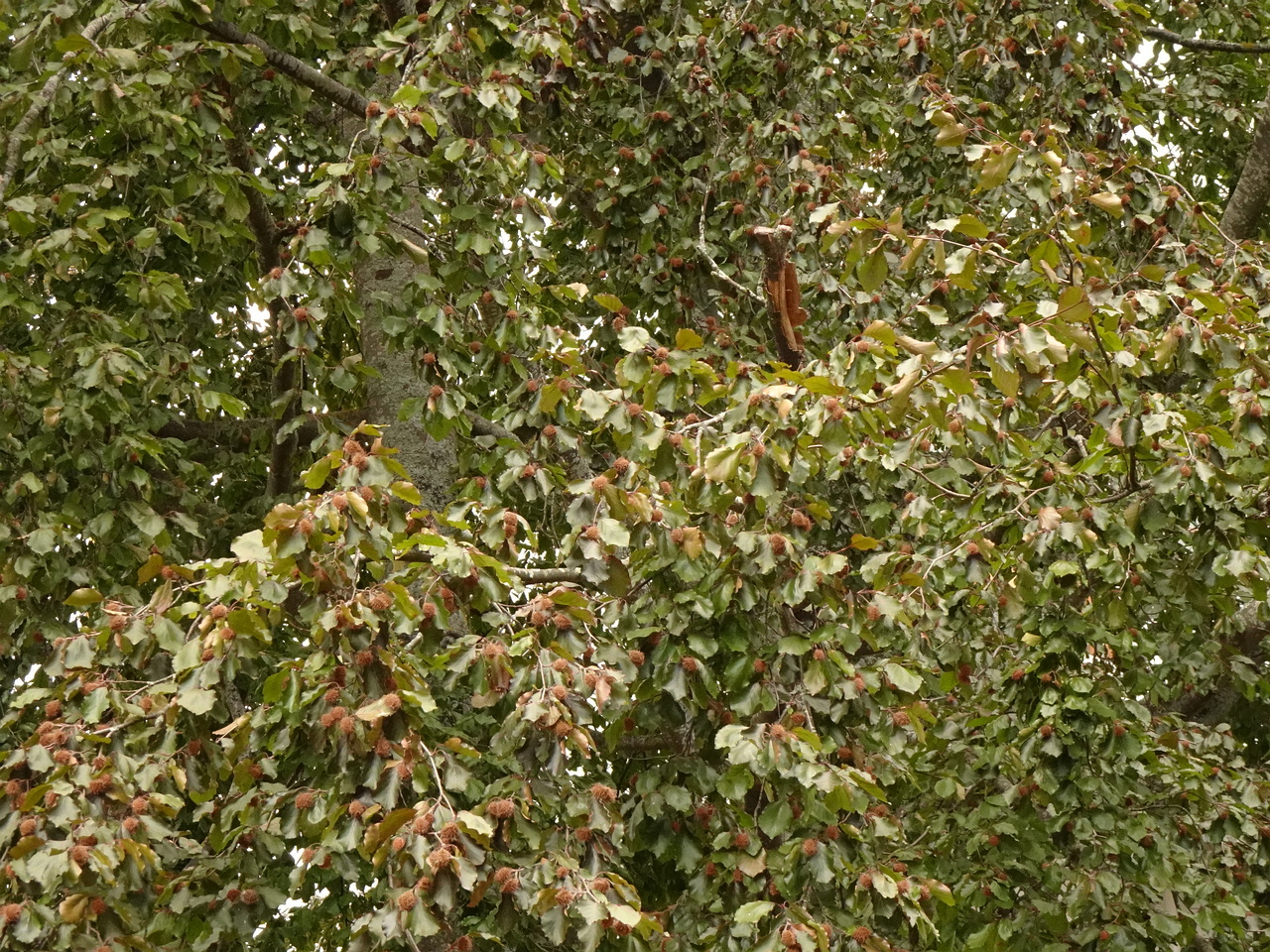 DSC05625