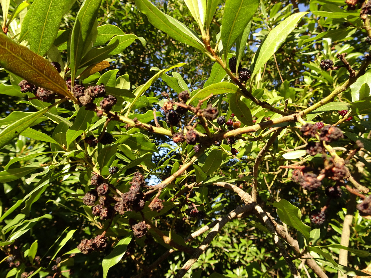 DSC05771