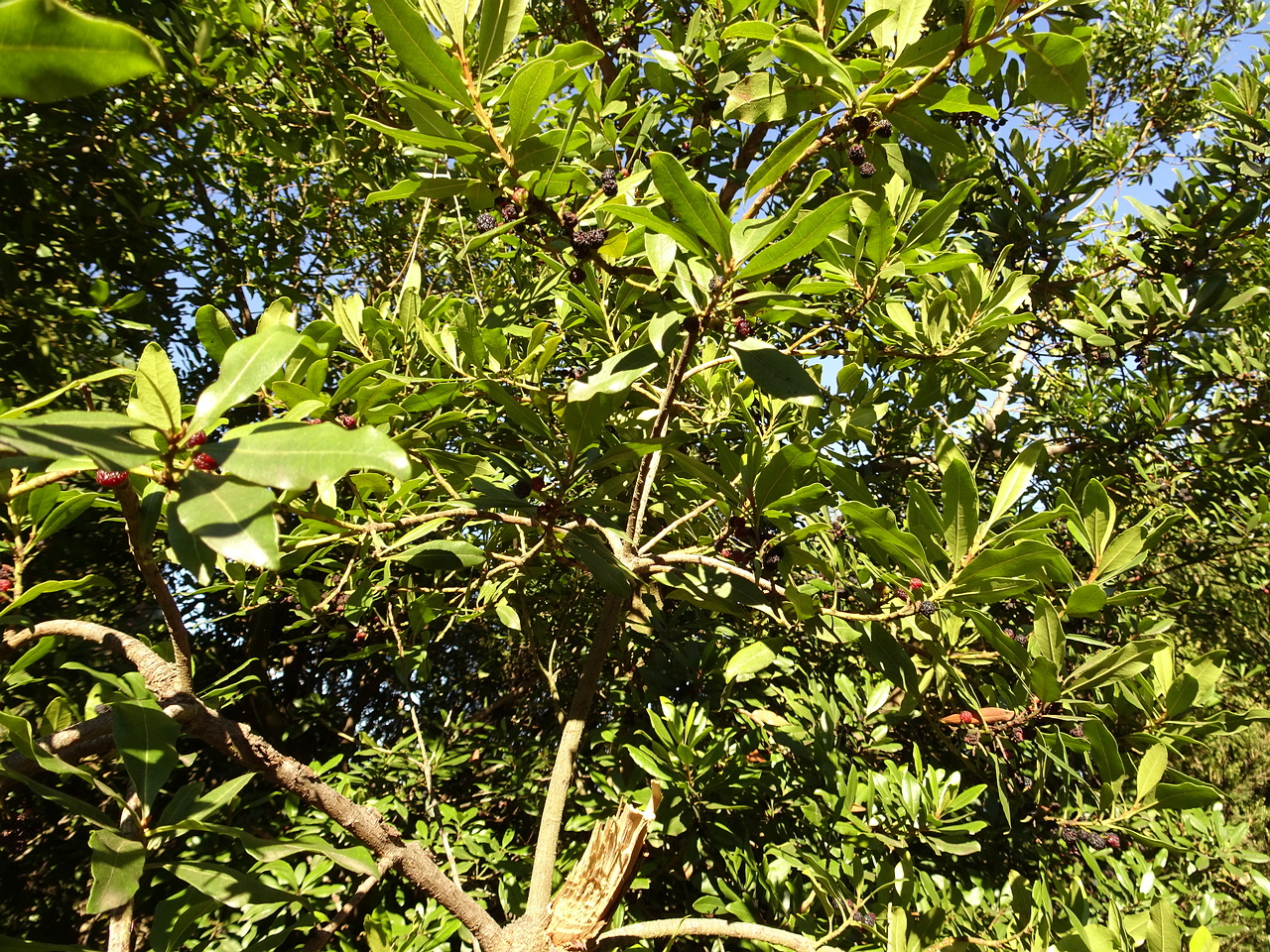 DSC05774