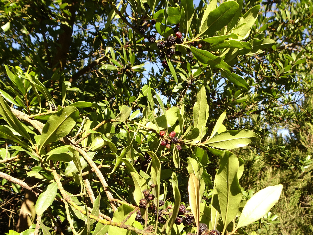 DSC05777