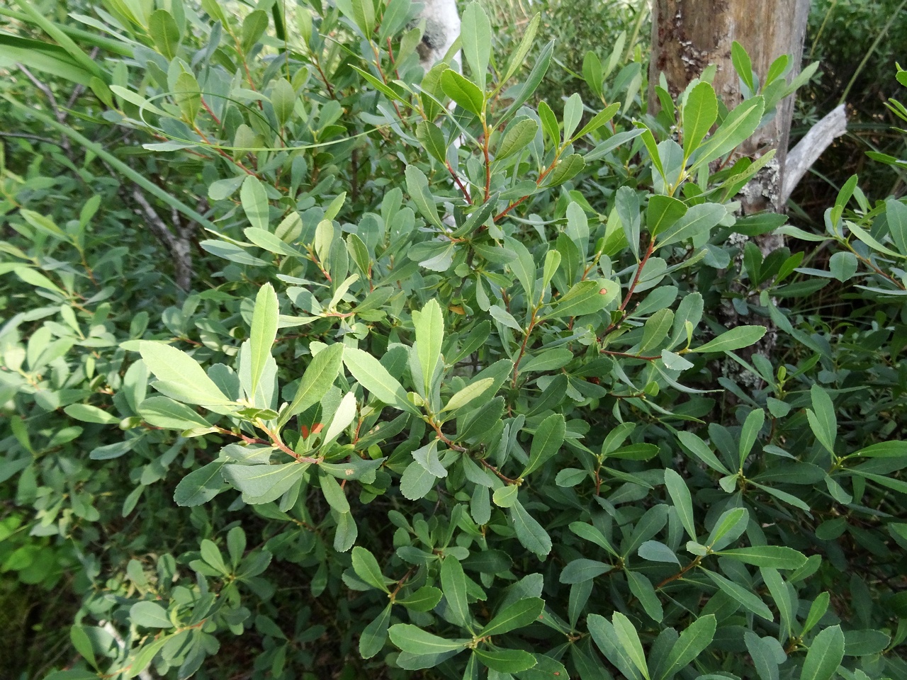 DSC01398