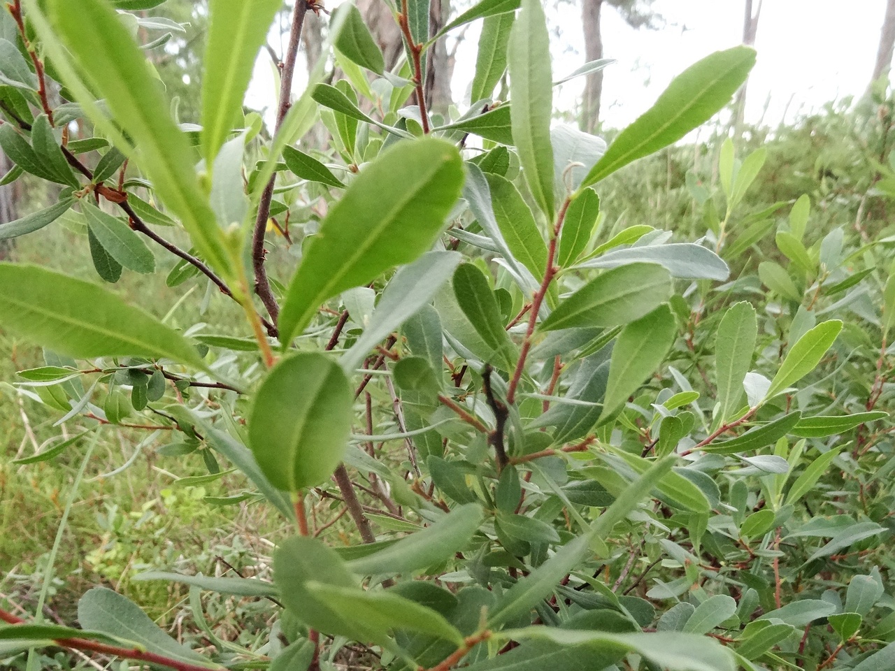 DSC01404