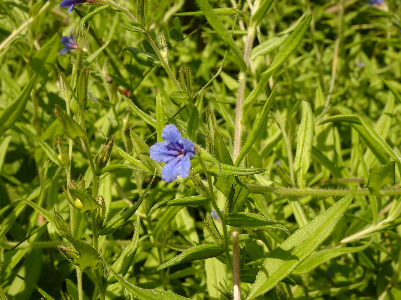 DSC02173
