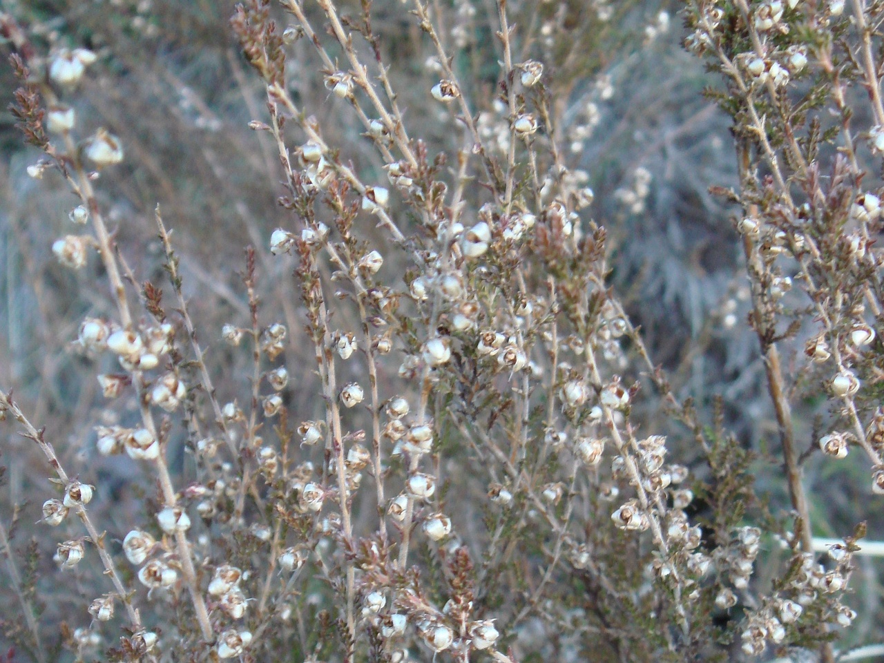 DSC00102