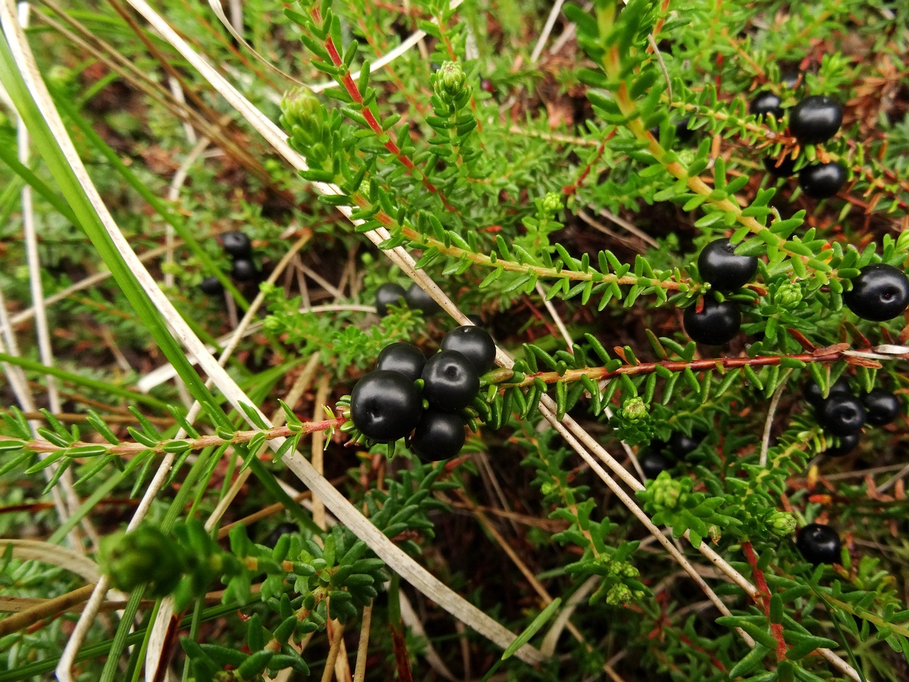 DSC01169