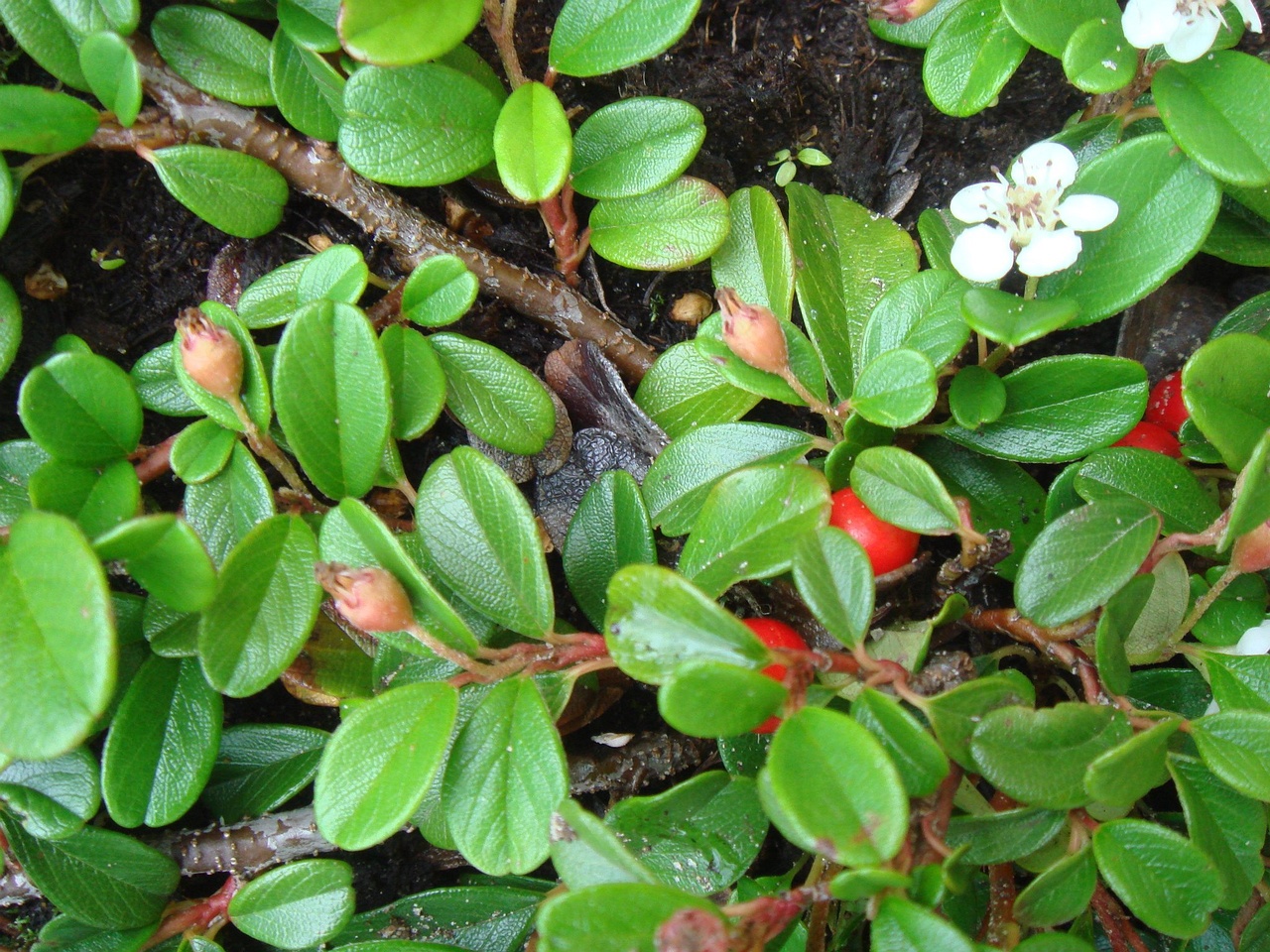 DSC01624