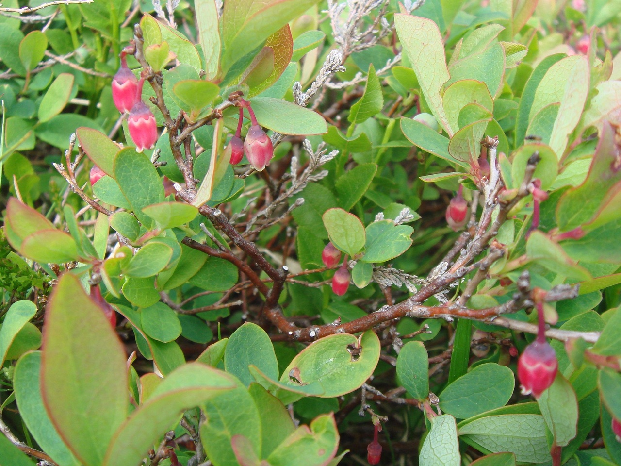 DSC03433