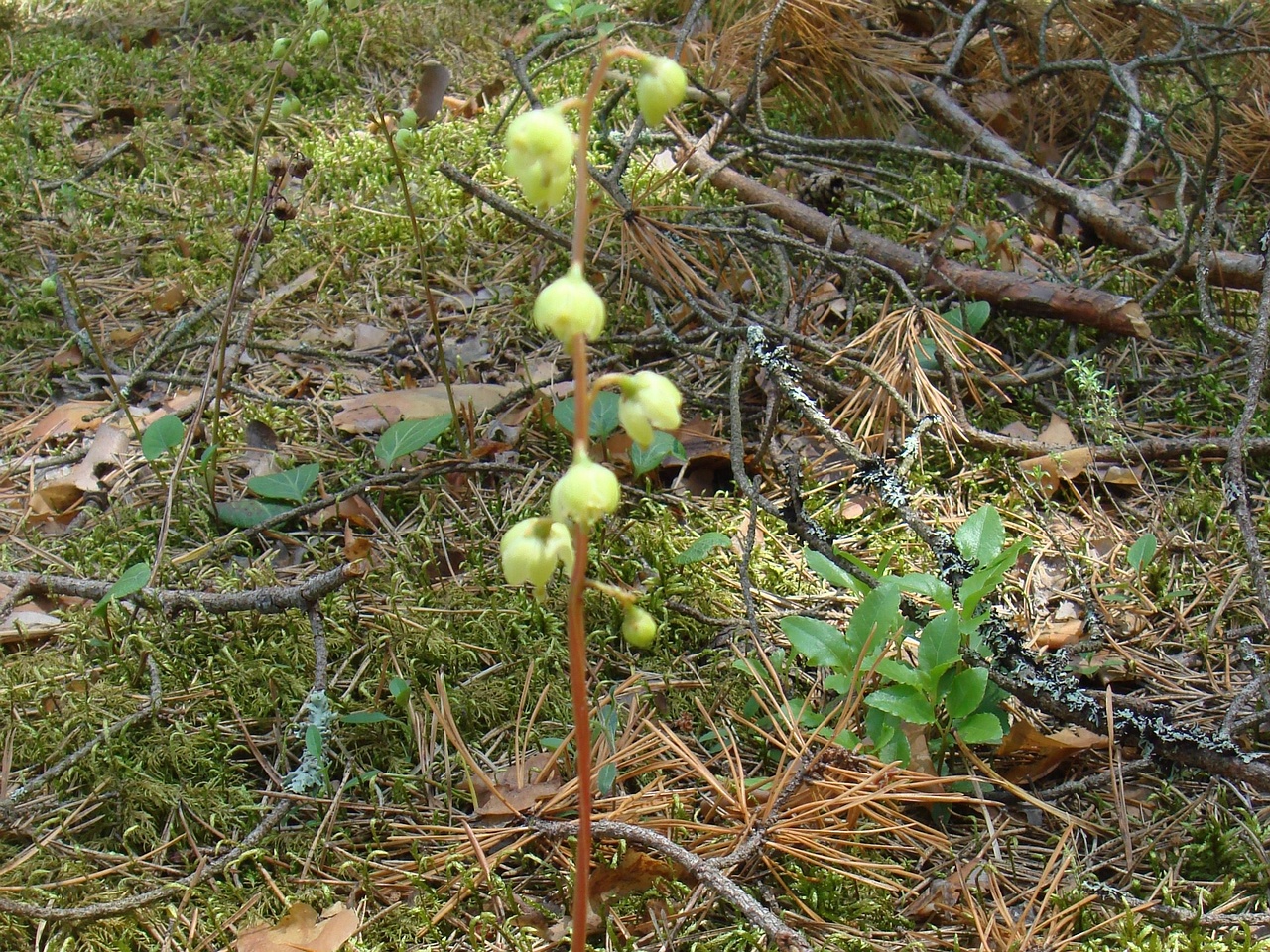 DSC00419