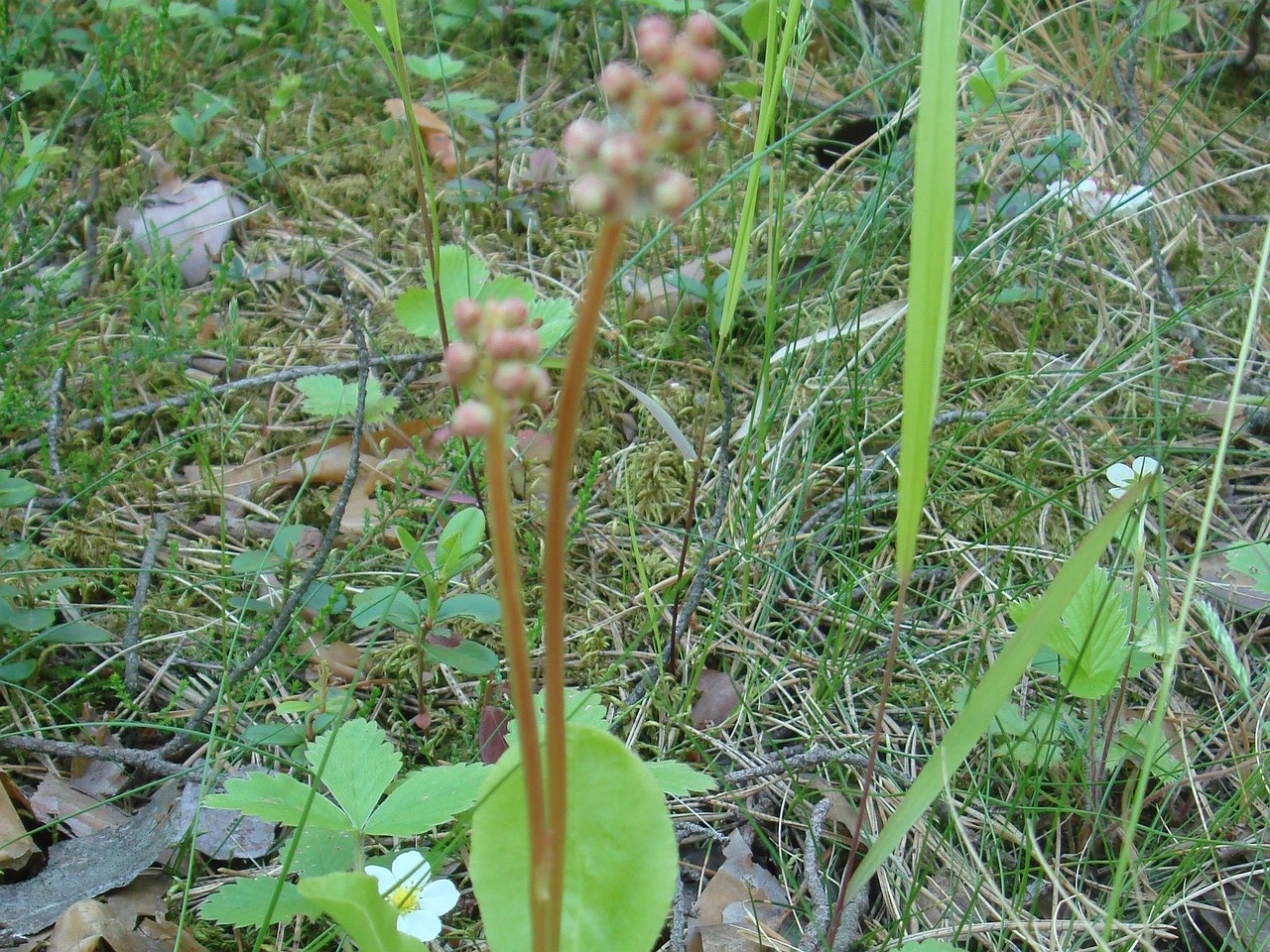 DSC01505
