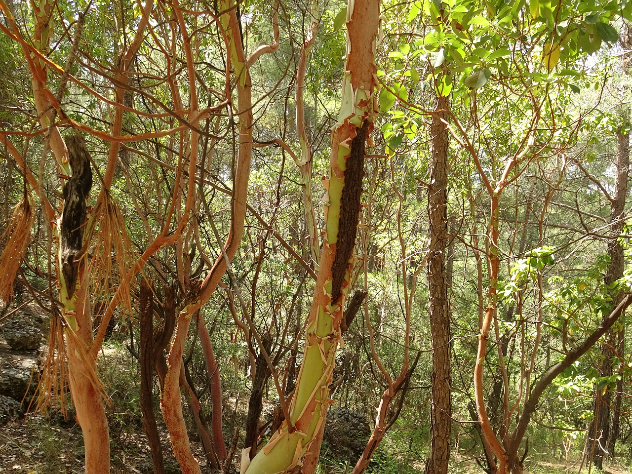 DSC03201