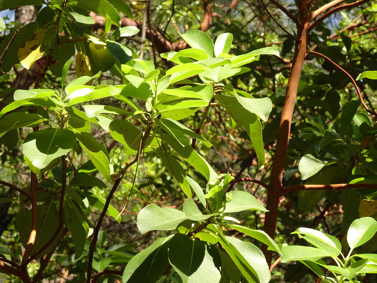 DSC03203