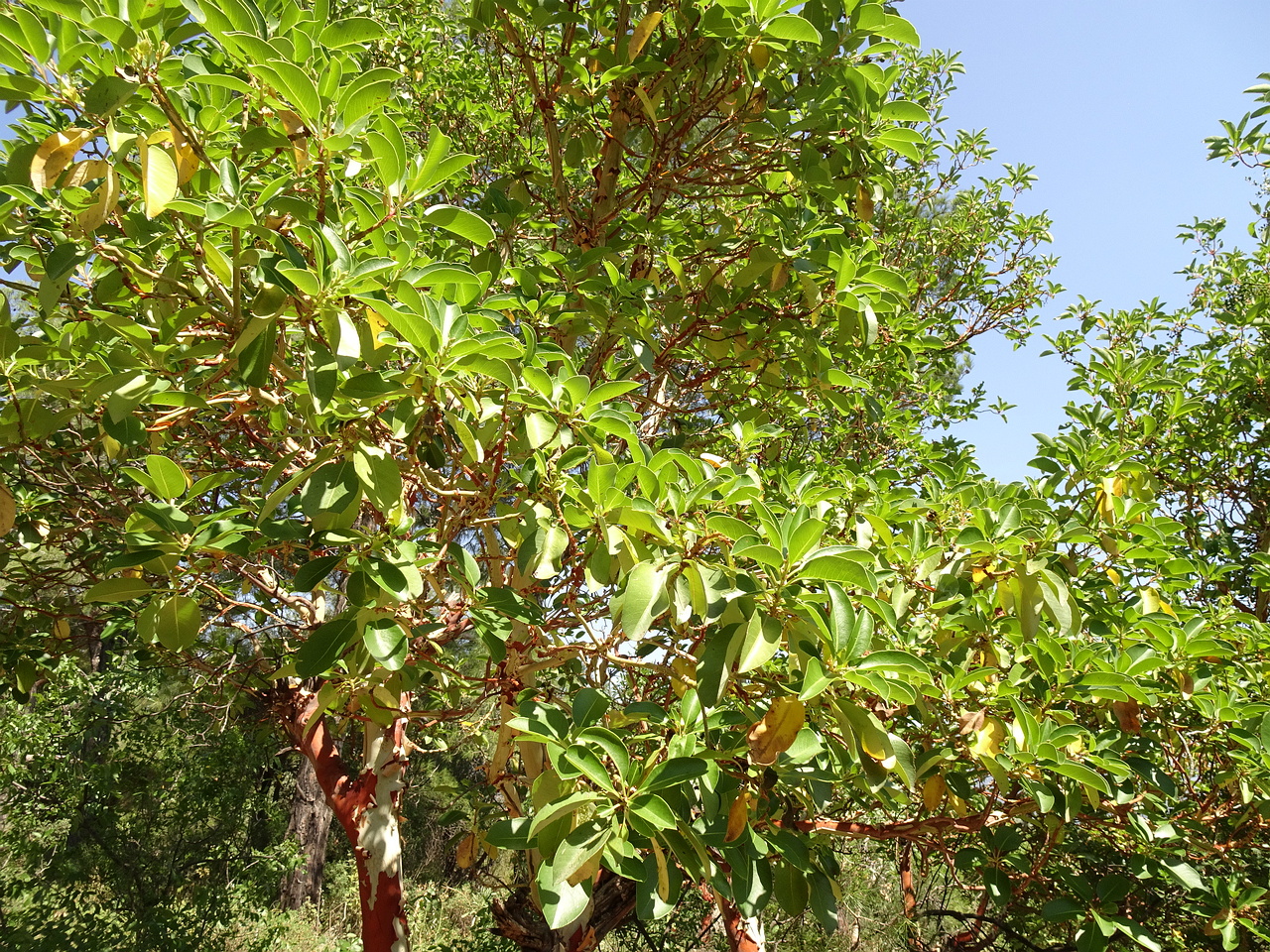DSC03235