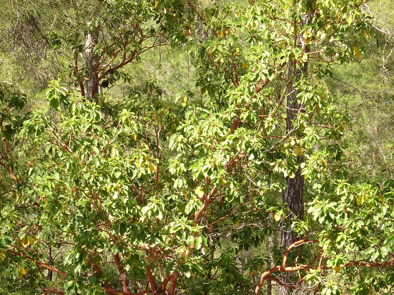 DSC03276