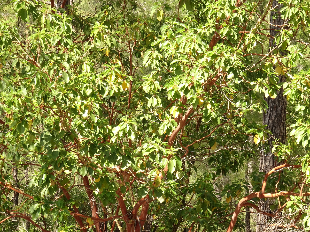 DSC03277