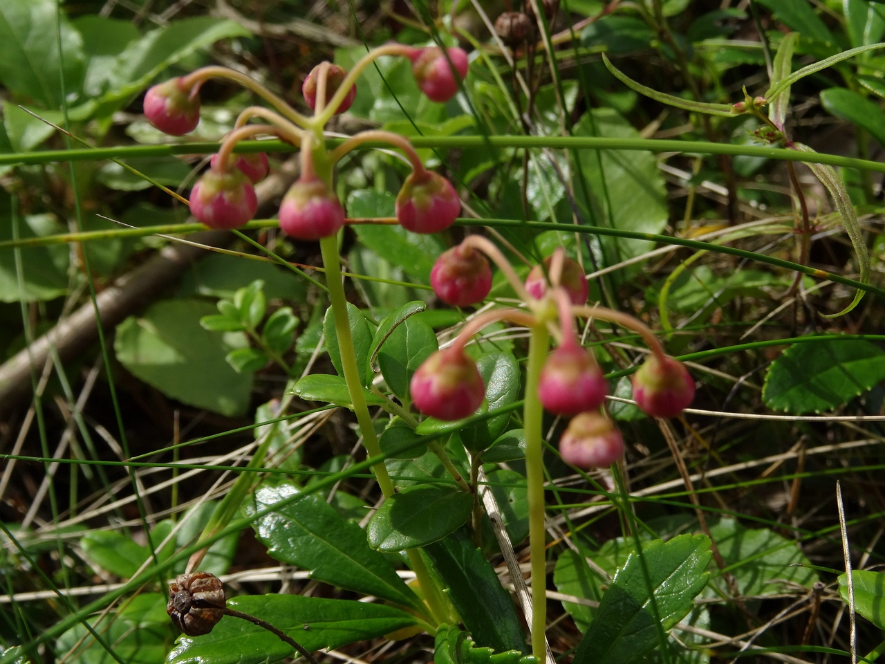 DSC04863