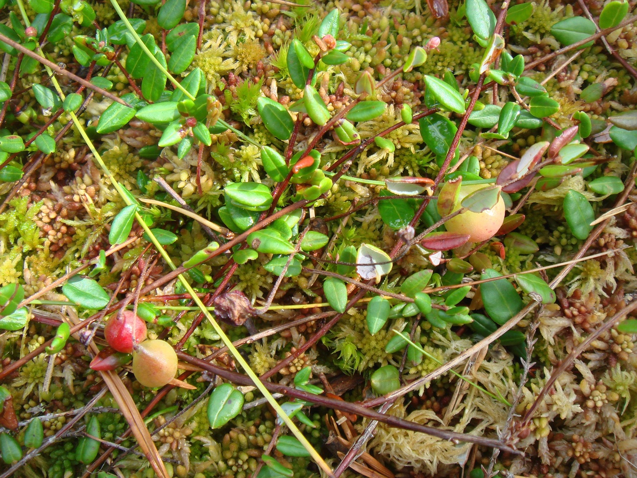 DSC09029