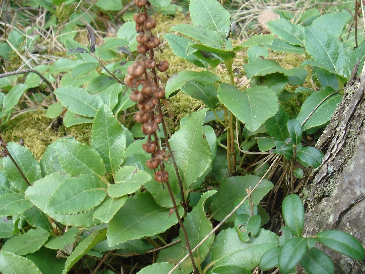 DSC00107