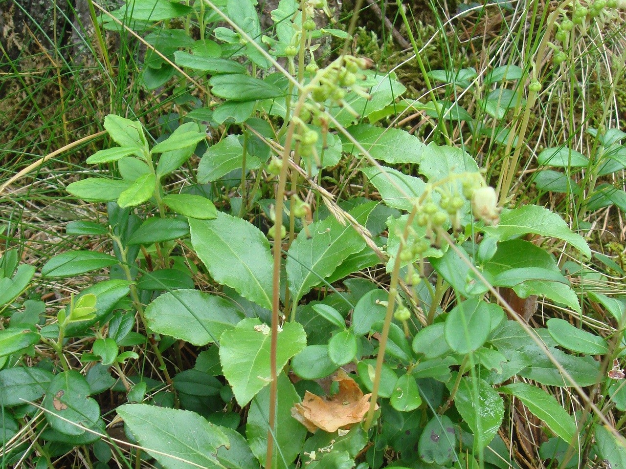 DSC01882