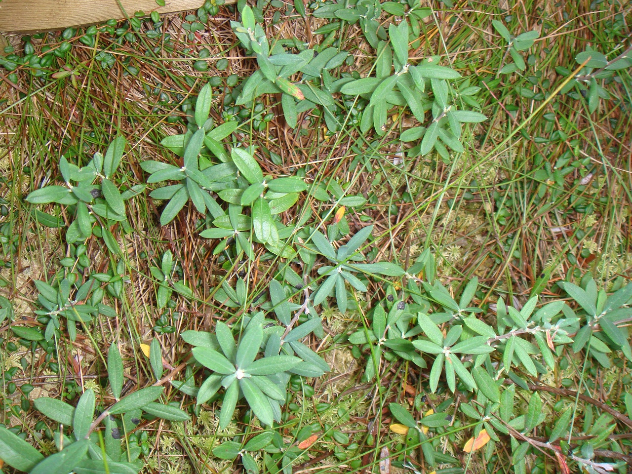 DSC00001