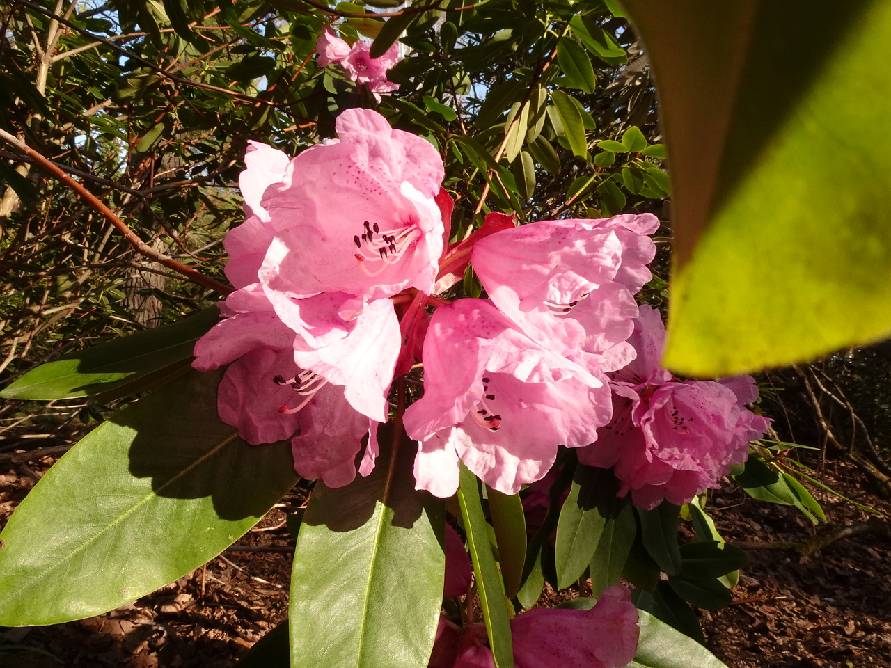 DSC01275
