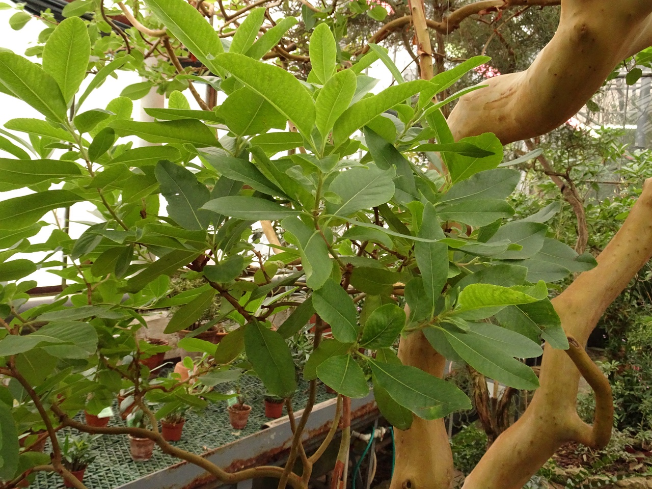 0DSC01674