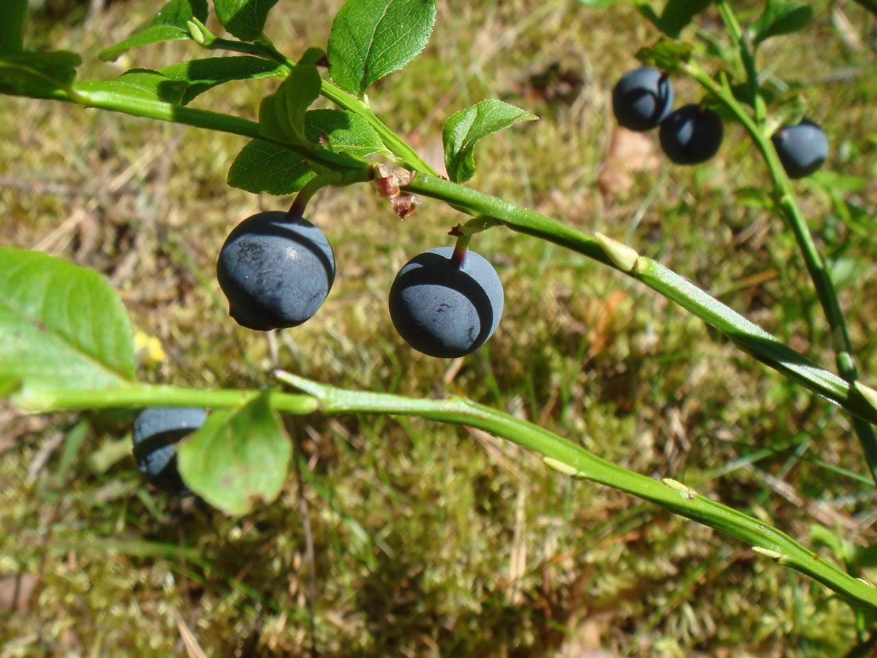 DSC01021