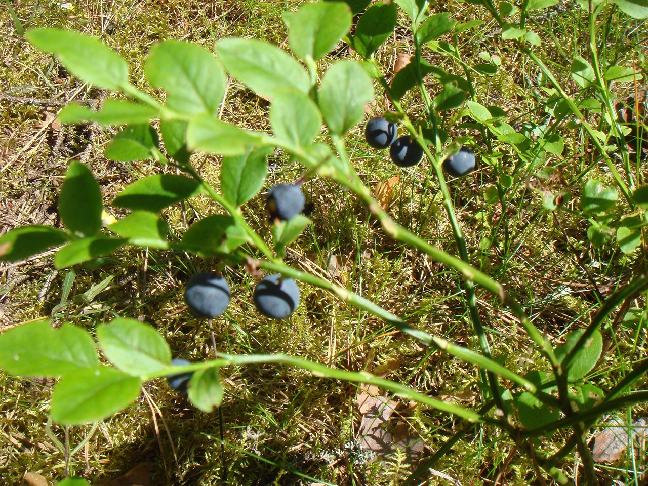 DSC01022