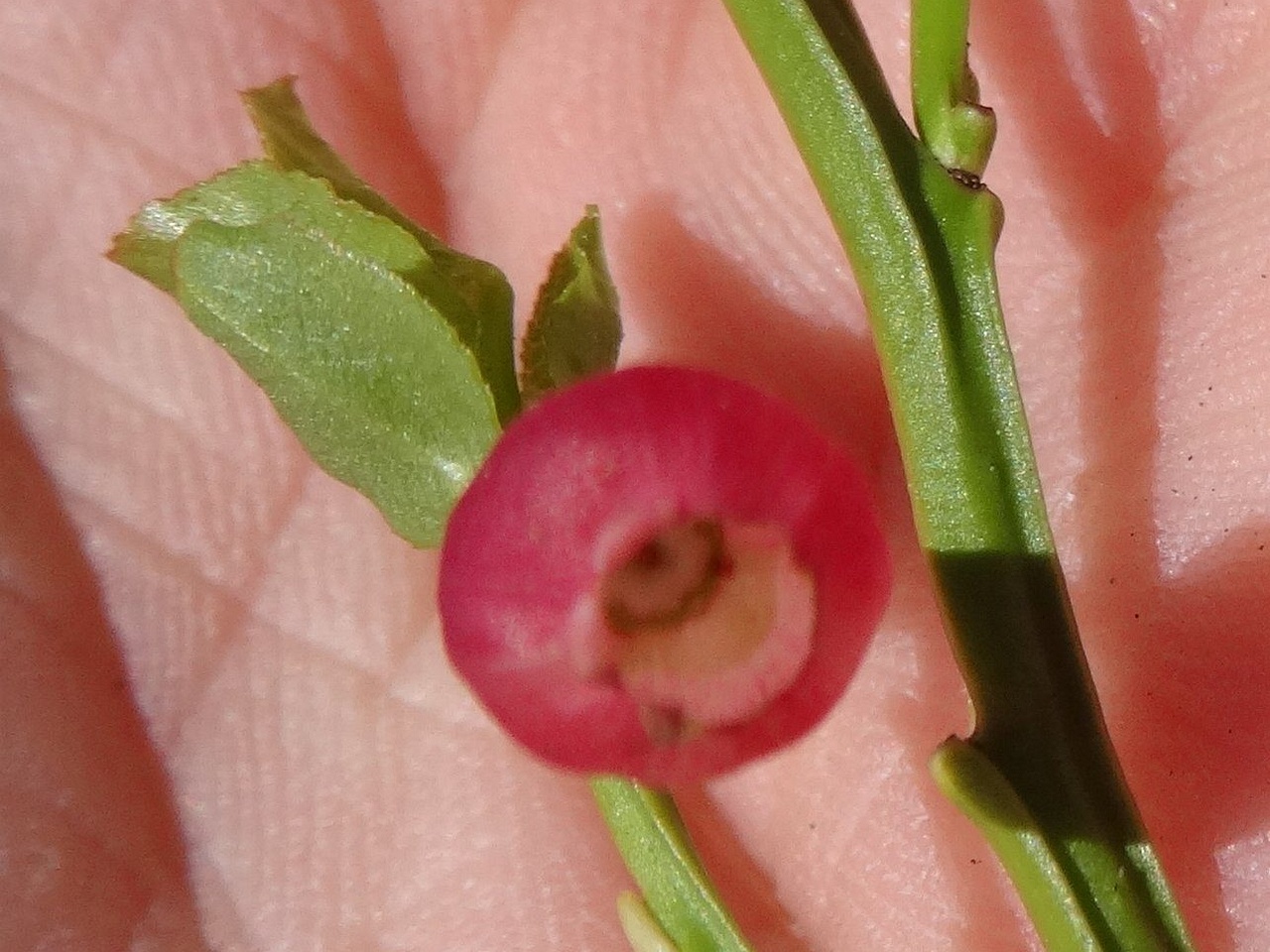 DSC03124_