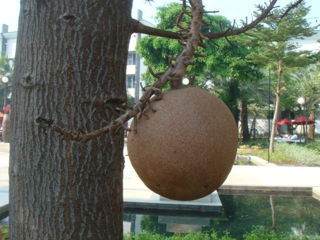 DSC04282