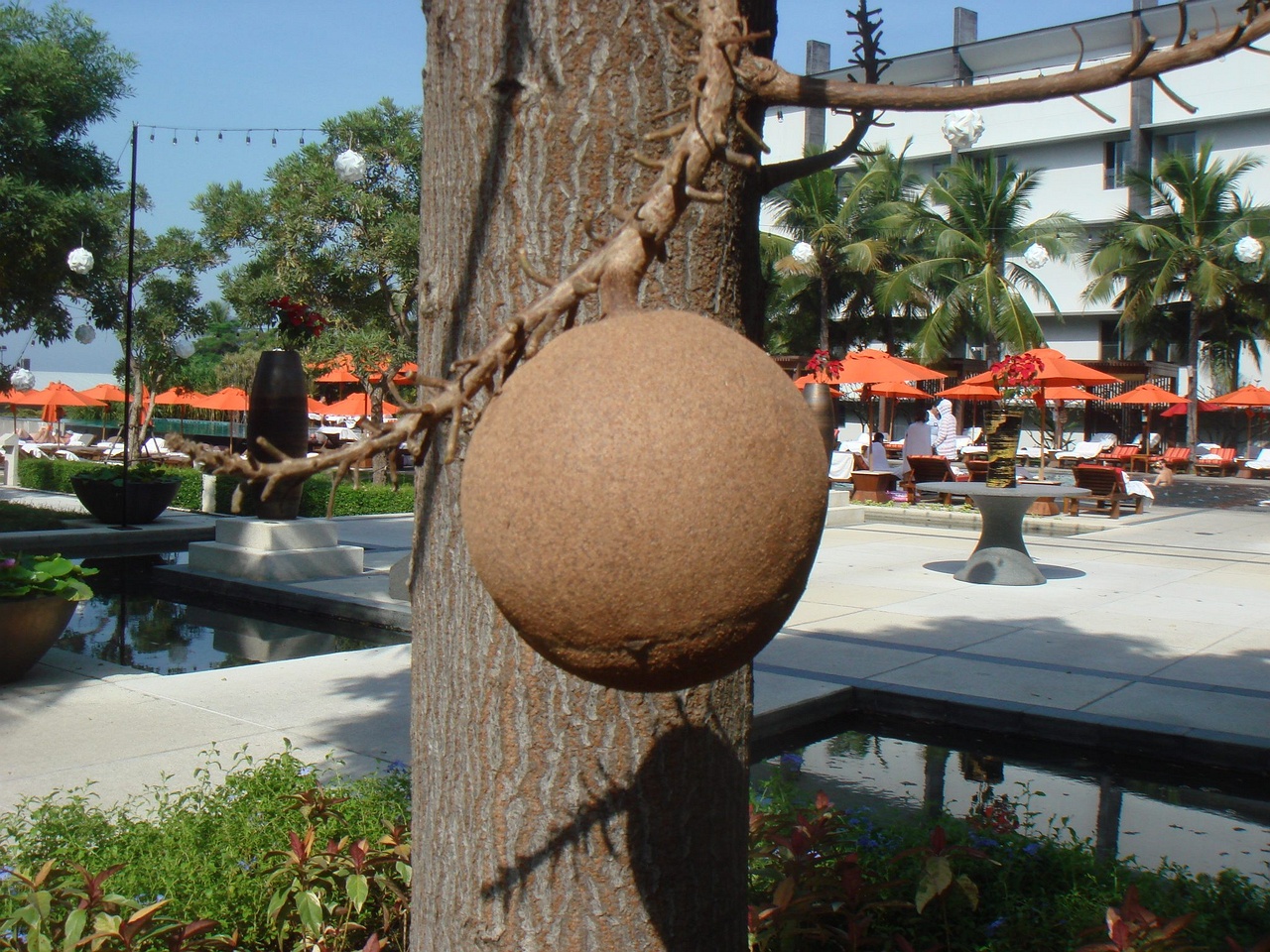 DSC04325
