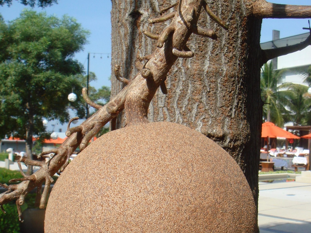 DSC04326