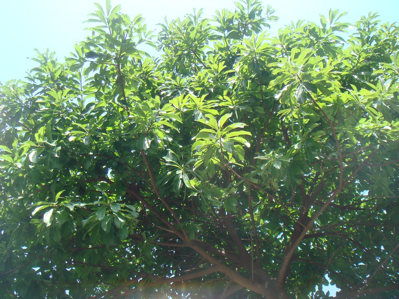 DSC04329