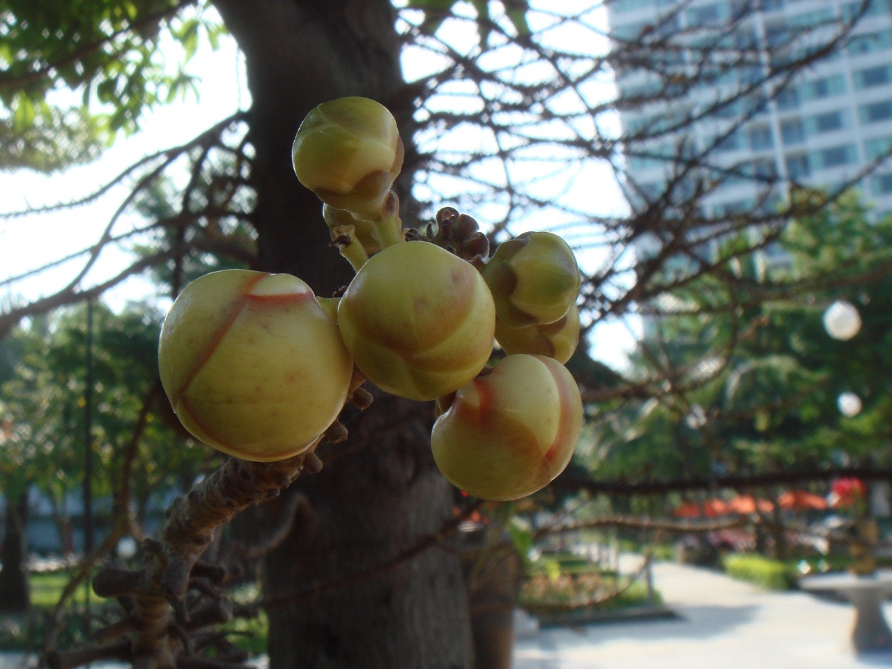 DSC04357