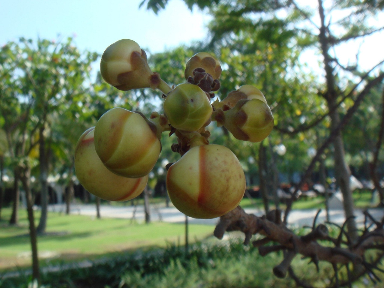 DSC04358