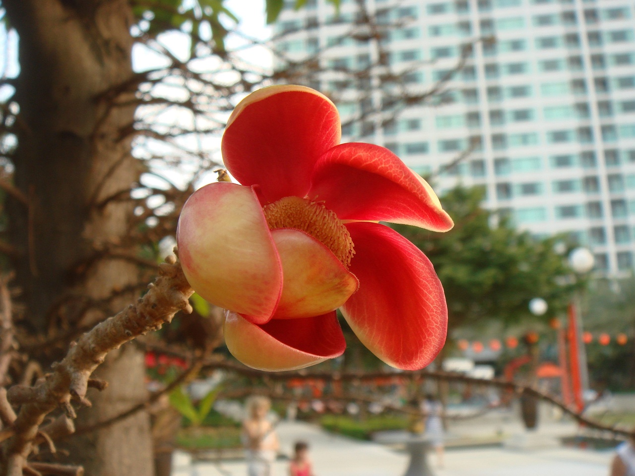 DSC05745