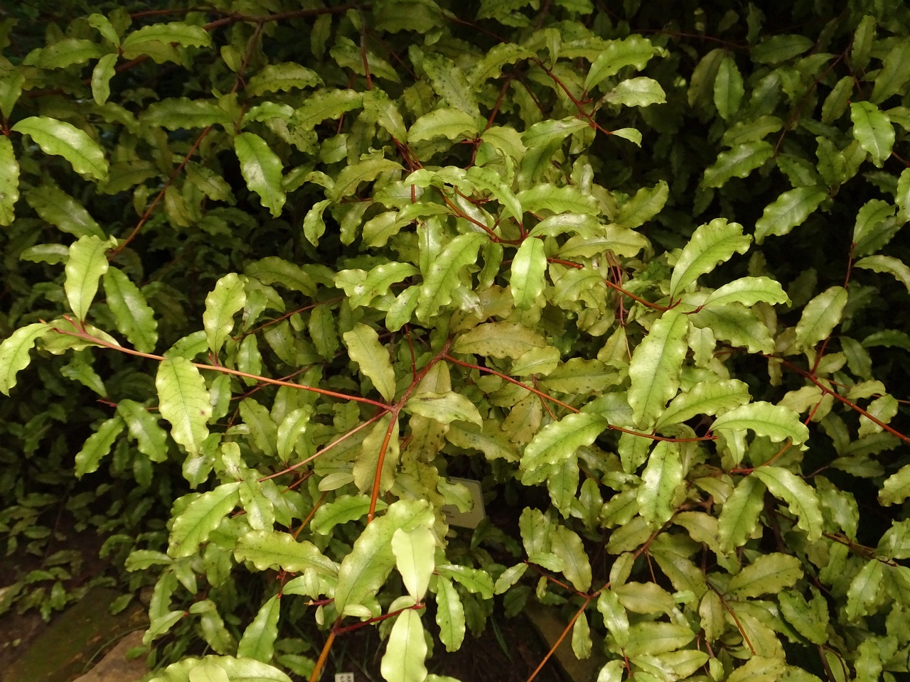 DSC06328