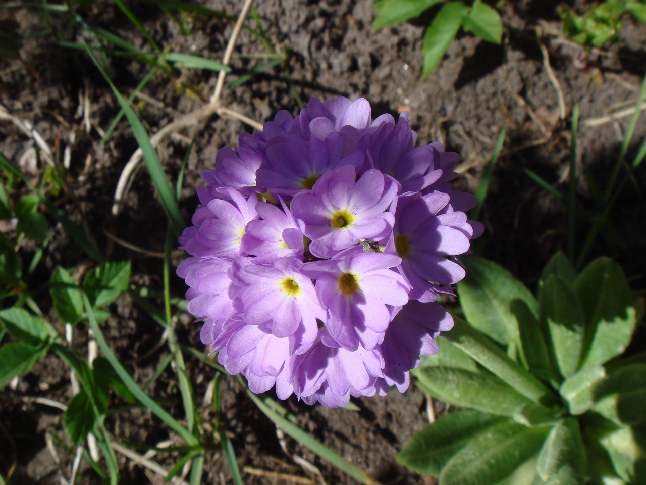 DSC00169