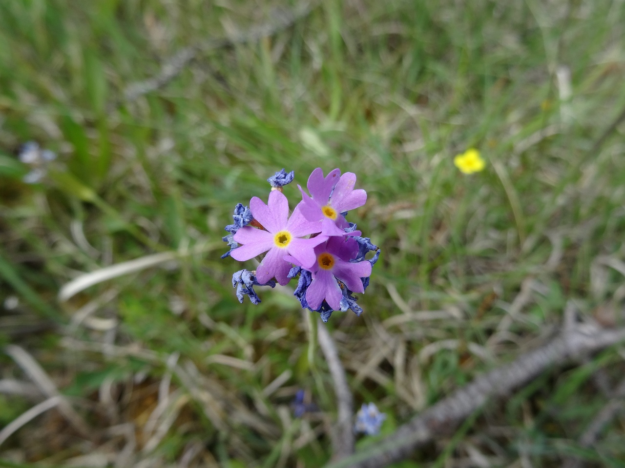 DSC03552