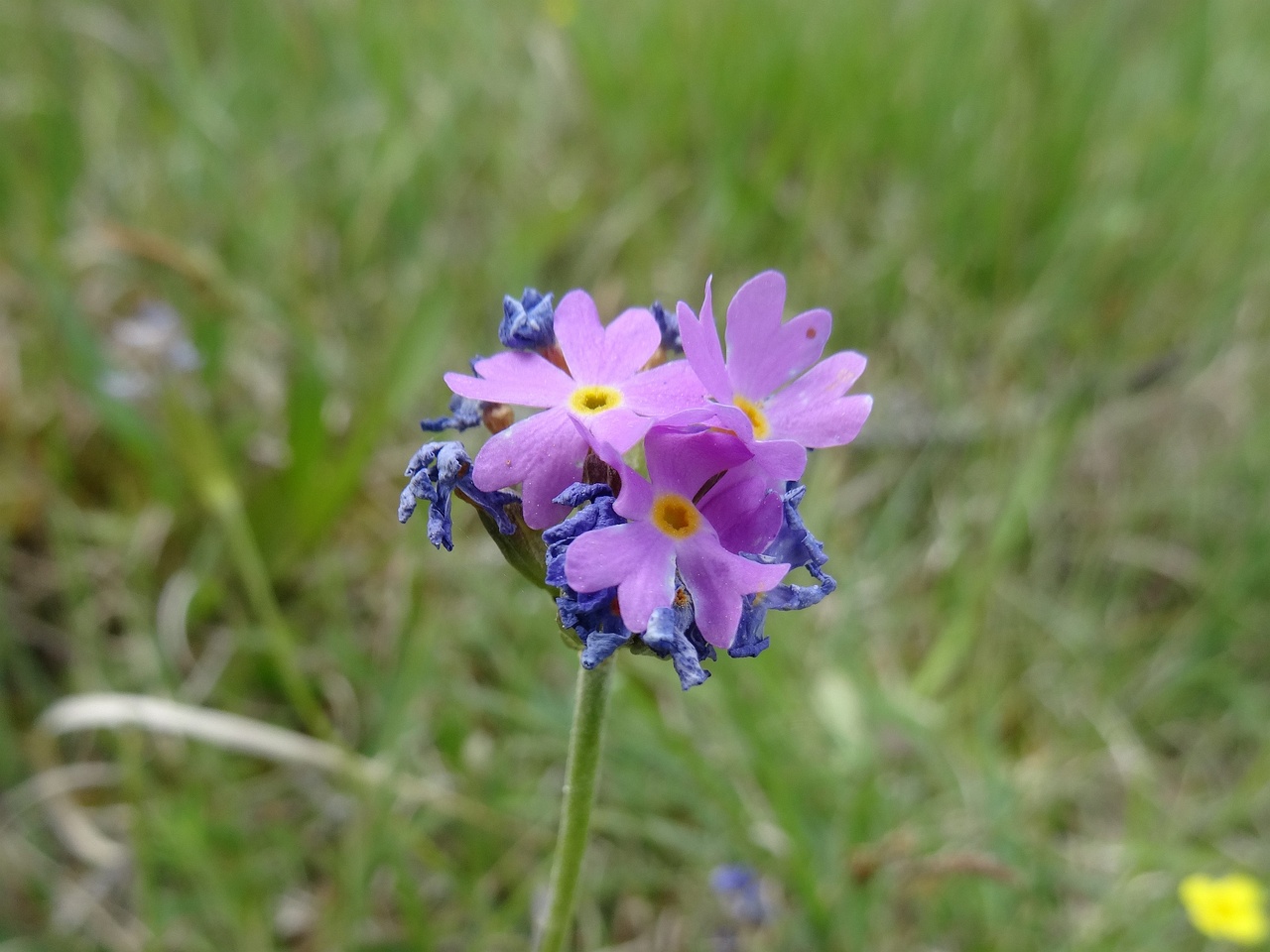 DSC03553