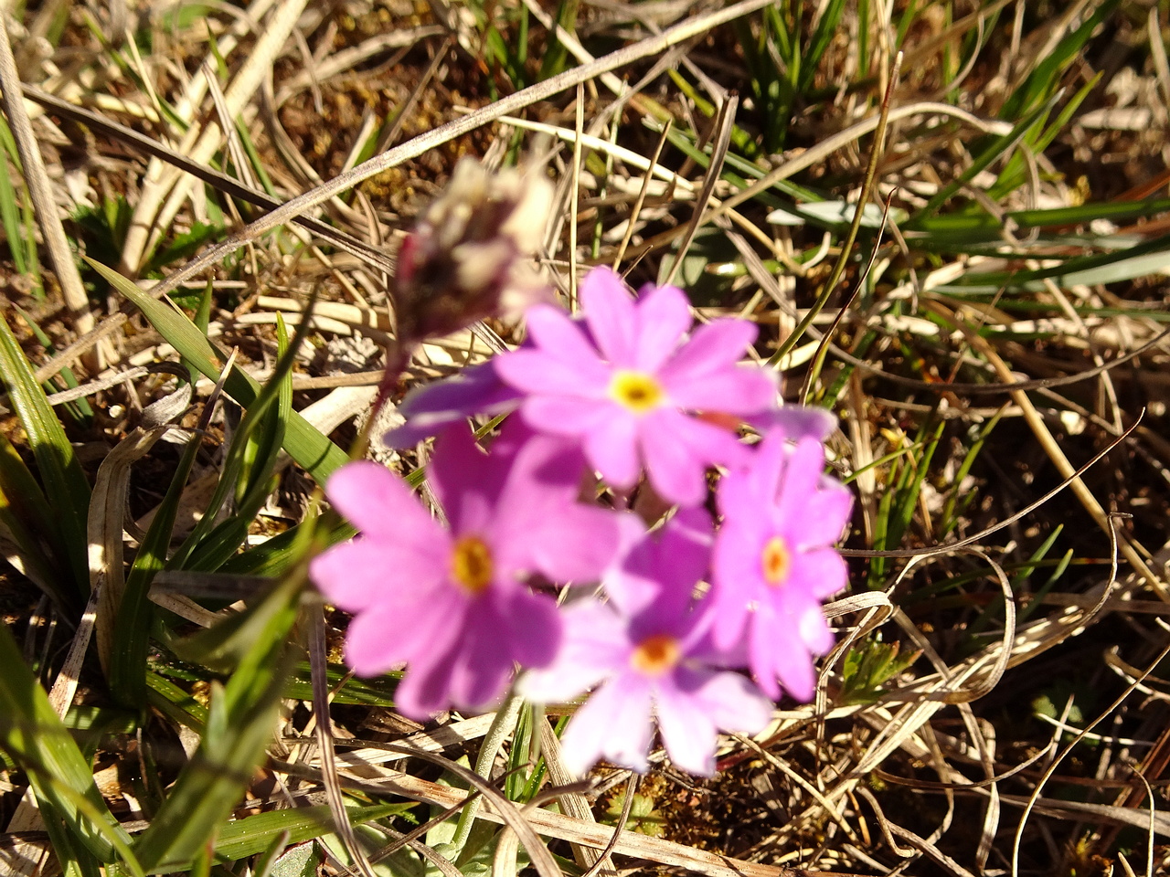 DSC07819