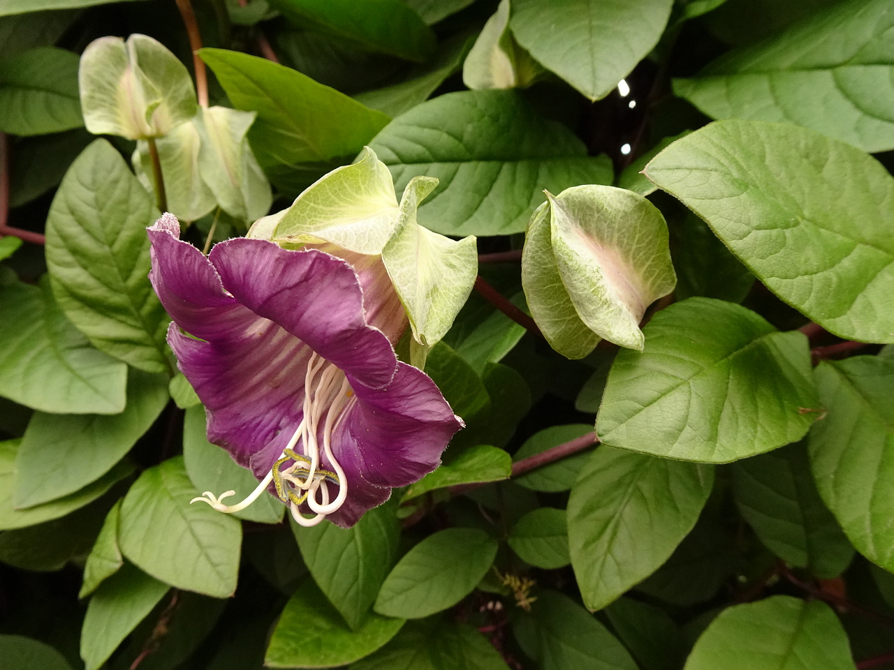 0DSC05588