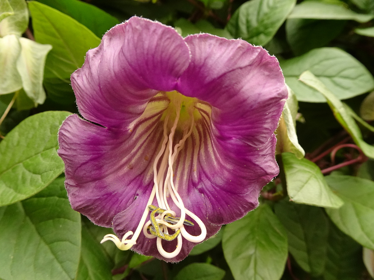DSC05587